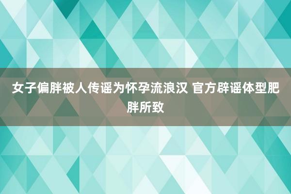 女子偏胖被人传谣为怀孕流浪汉 官方辟谣体型肥胖所致