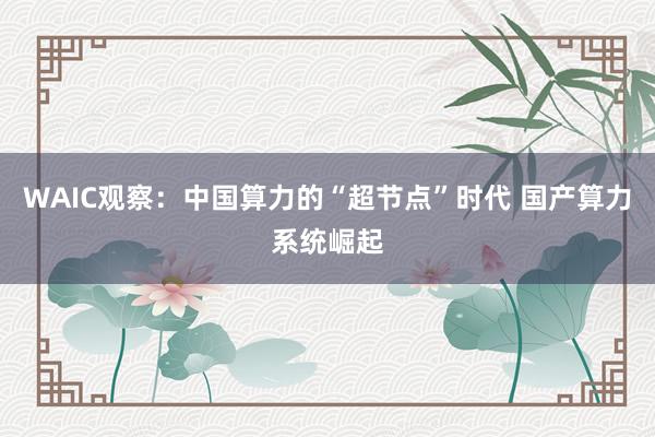 WAIC观察：中国算力的“超节点”时代 国产算力系统崛起
