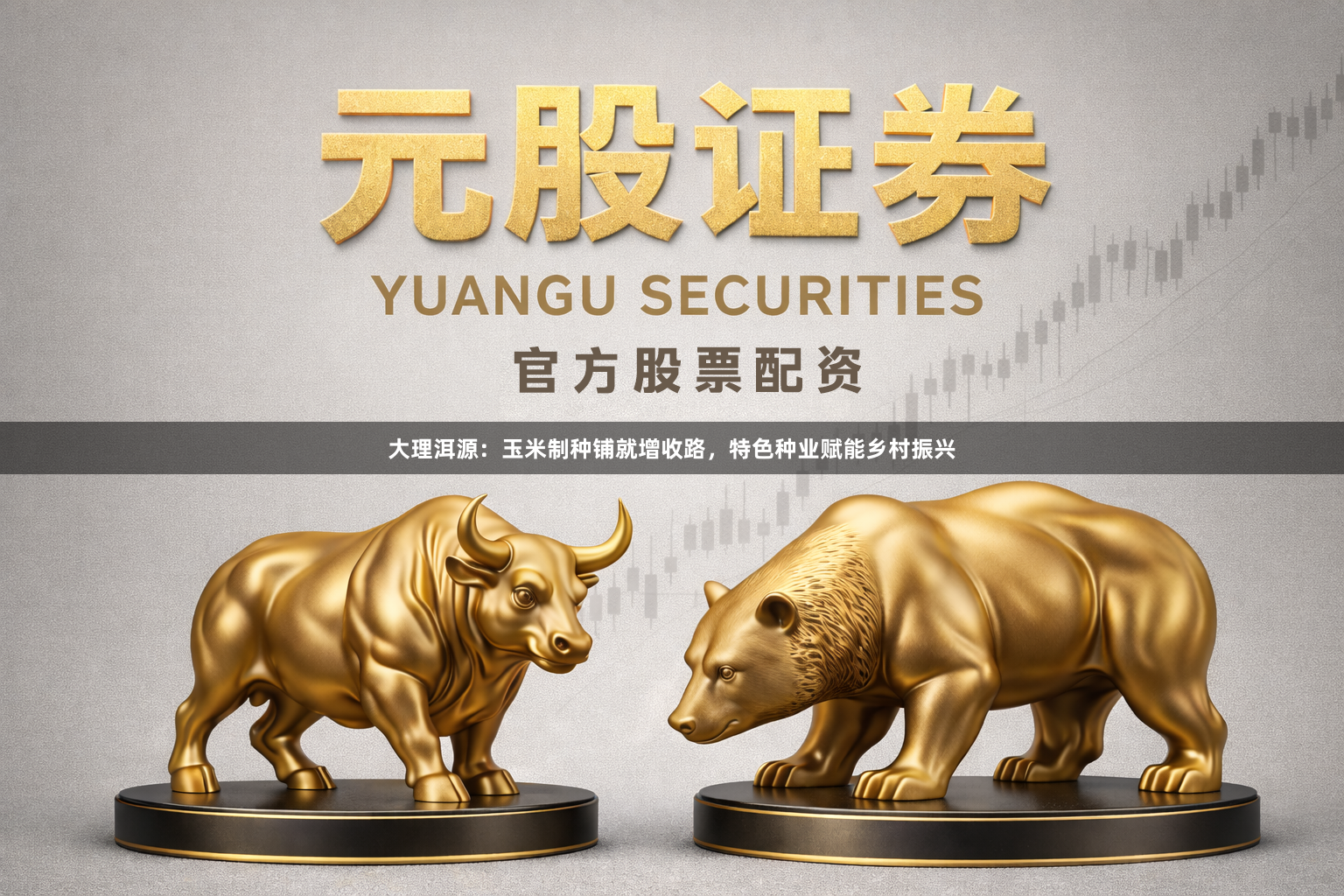 大理洱源：玉米制种铺就增收路，特色种业赋能乡村振兴