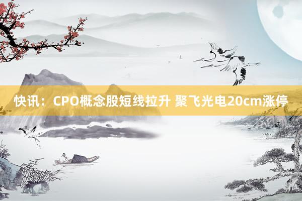 快讯：CPO概念股短线拉升 聚飞光电20cm涨停