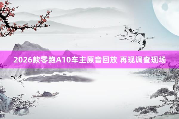 2026款零跑A10车主原音回放 再现调查现场