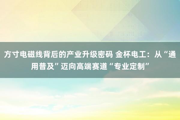 方寸电磁线背后的产业升级密码 金杯电工：从“通用普及”迈向高端赛道“专业定制”