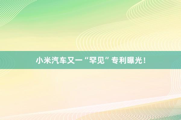 小米汽车又一“罕见”专利曝光！