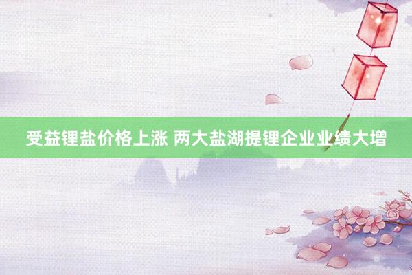 受益锂盐价格上涨 两大盐湖提锂企业业绩大增