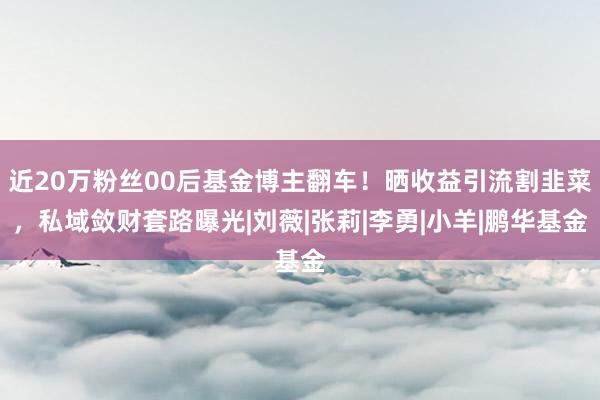 近20万粉丝00后基金博主翻车！晒收益引流割韭菜，私域敛财套路曝光|刘薇|张莉|李勇|小羊|鹏华基金