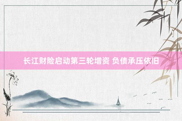 长江财险启动第三轮增资 负债承压依旧