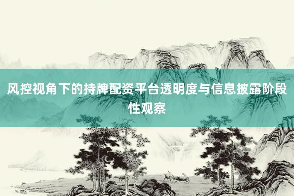风控视角下的持牌配资平台透明度与信息披露阶段性观察