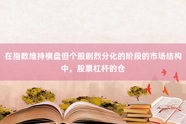 在指数维持横盘但个股剧烈分化的阶段的市场结构中，股票杠杆的仓