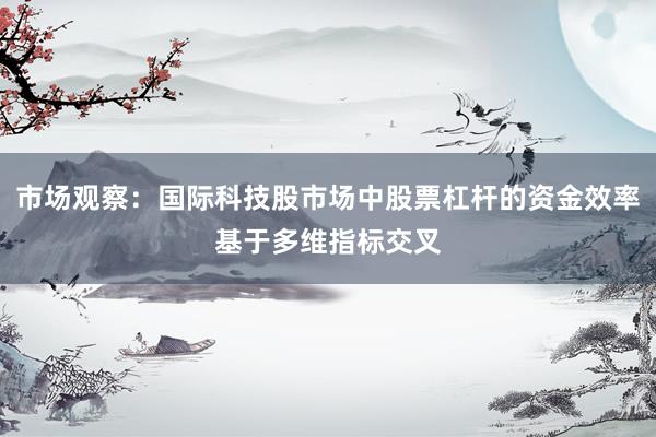 市场观察：国际科技股市场中股票杠杆的资金效率基于多维指标交叉
