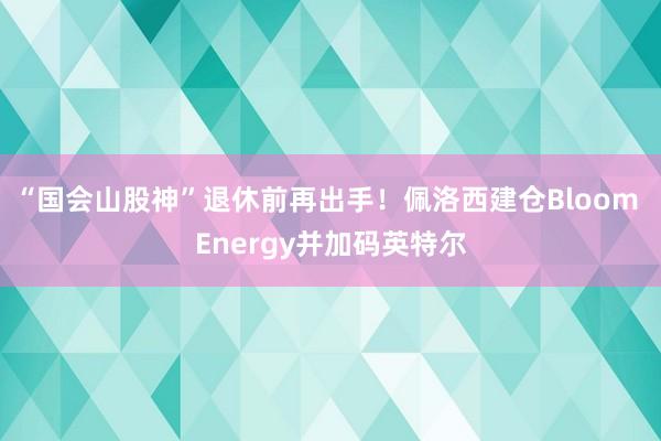 “国会山股神”退休前再出手！佩洛西建仓Bloom Energy并加码英特尔