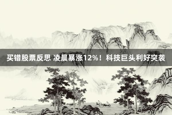 买错股票反思 凌晨暴涨12%！科技巨头利好突袭