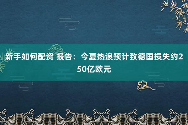 新手如何配资 报告：今夏热浪预计致德国损失约250亿欧元