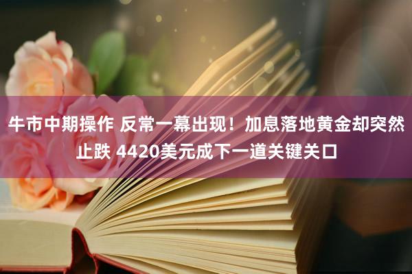 牛市中期操作 反常一幕出现！加息落地黄金却突然止跌 4420美元成下一道关键关口
