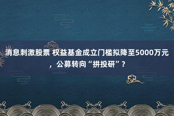 消息刺激股票 权益基金成立门槛拟降至5000万元，公募转向“拼投研”？